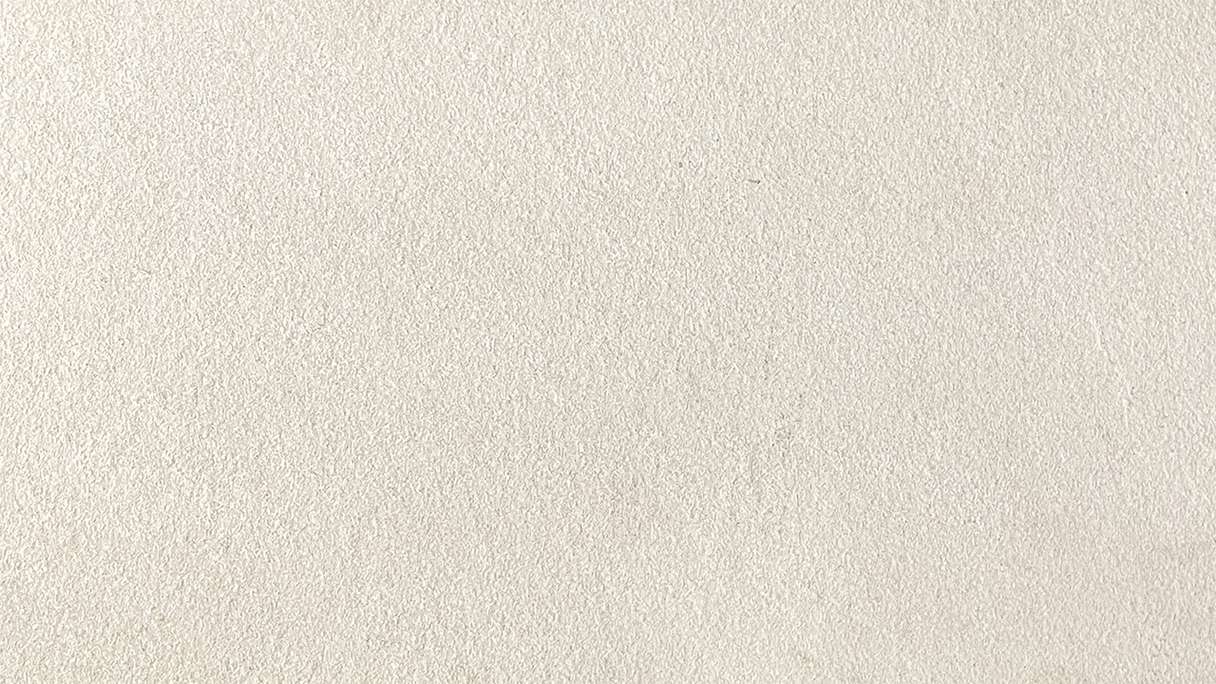 planeo EVOLITH Slate&Stone - Rivestimento in pietra naturale White Core 1220 x 610 mm