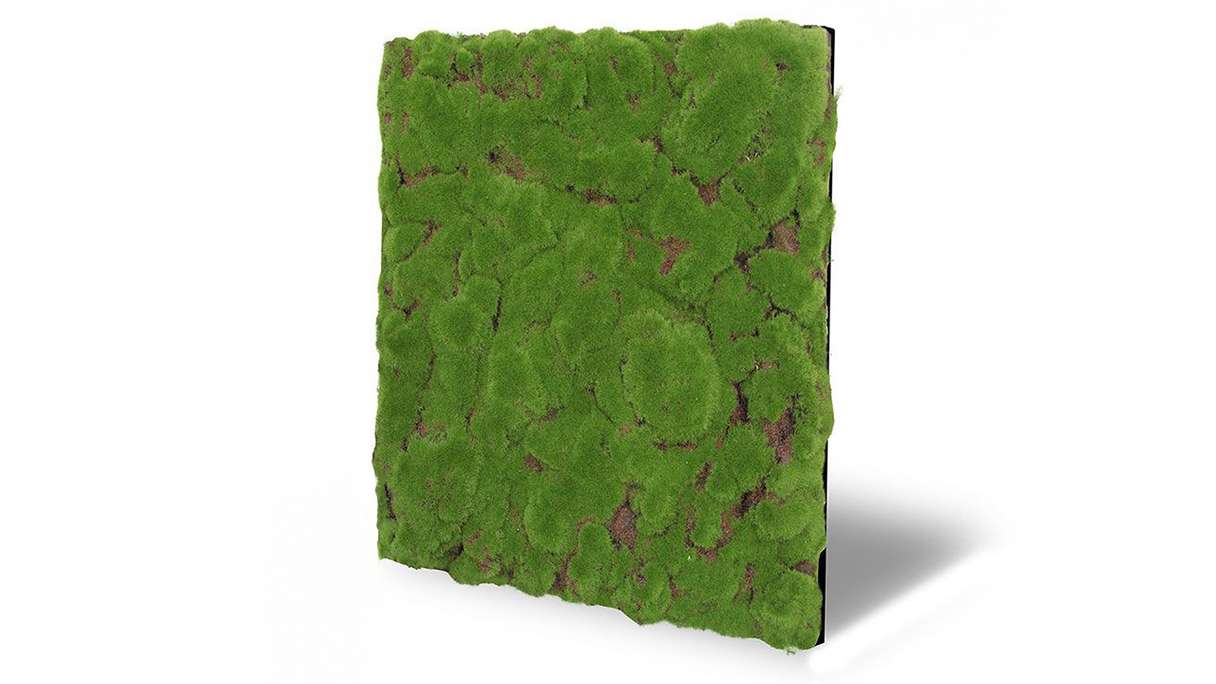 pannello acustico planeo - MixWall Moss Mood Forest Green Bulk 52 x 52 cm | Art Moss (PLMW-20211C)