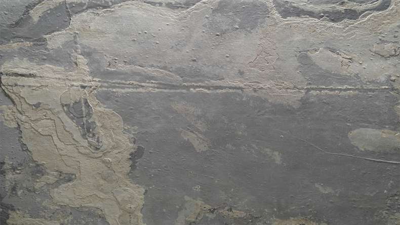 planeo EVOLITH EasyFix - Rivestimento in pietra naturale Terracrust 600 x 300 mm - 6 pezzi.
