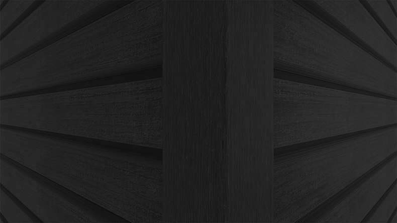 planeo LINEA Wide - Rivestimento per facciate in WPC CoEx, nero, 2900 x 181 mm