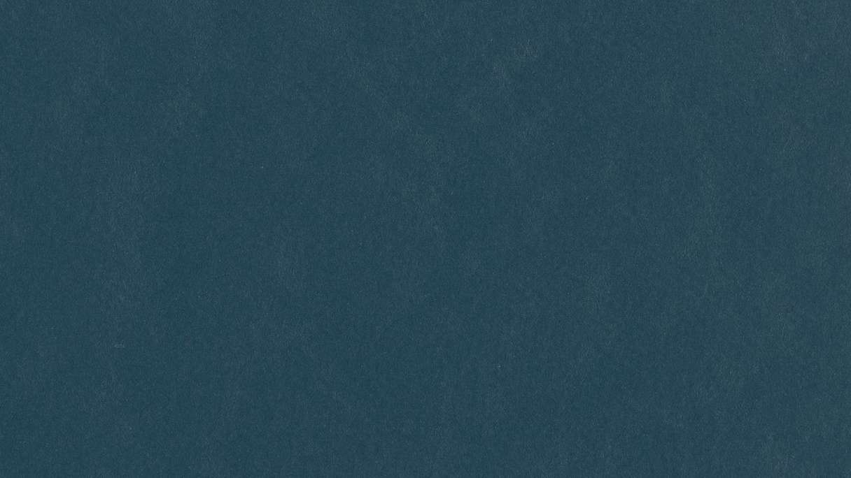 Forbo Linoleum Marmoleum Walton - benzina 3358