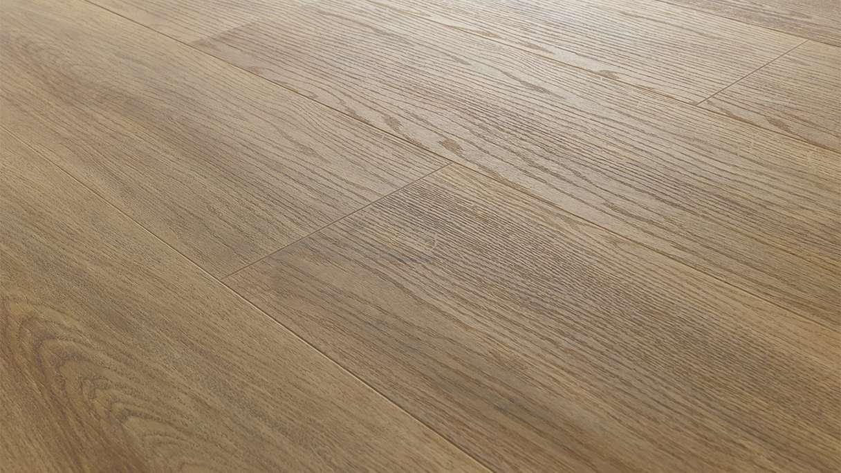 planeo Vinile ad incastro - Object Grand Quercia delle Ande (EF-154)
