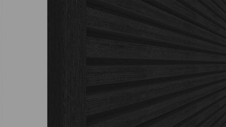 planeo LINEA Slim - Rivestimento per facciate in WPC CoEx, nero, 2900 x 215 mm