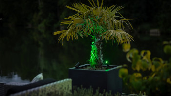 planeo Castor Smart 12V - Faretto LED Zigbee