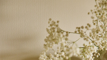 rivestimento planeo SPC - CeraRock Tile Stripes Concrete Cream 120 x 60 cm