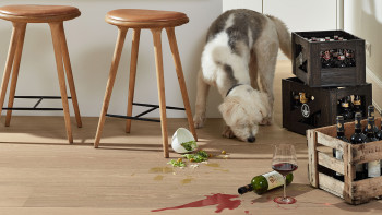 planeo Pavimento in legno - Noble Wood Quercia Elverun | Made in Germany (EDP-229)