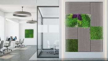 pannello acustico planeo - MixWall Timber Touch Althea Oak 52 x 52 cm | impiallacciato in vero legno (PLMW-10011A)