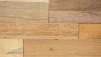 planeo WoodWall - Parete della Baracca FSC Calabria