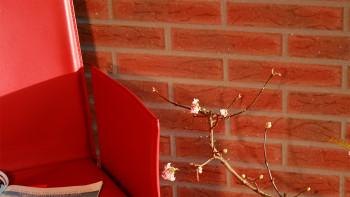 planeo StoneWall Mattone massiccio in clinker scivola TON - Classic Brick
