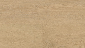 Vinile adesivo Wineo - 400 legno L Quercia normale Beige | Goffratura sincronizzata (DB281WL)
