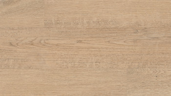 planeo DekoWall - Vinile da parete Tiny Plain Oak Beige | Goffratura sincronizzata (DB281WXS-WV)