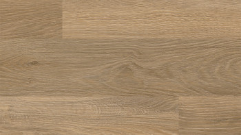 Vinile adesivo Wineo - 400 legno XS Vivid Oak Nature Spina di pesce | Goffratura sincronizzata (DB283WXS)