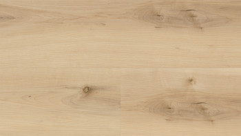 Vinile adesivo Wineo - 400 legno XL Acero Nordico Crema | Goffratura sincronizzata (DB289WXL)