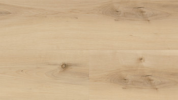 Wineo Vinile multistrato - 400 wood XL Nordic Maple Cream | isolamento acustico integrato (MLD289WXL)