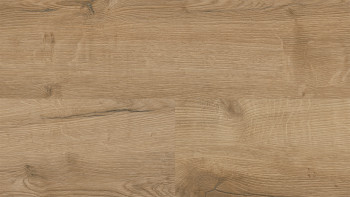 Wineo Vinile Rigido ad incastro - 400 wood XL Comfort Oak Nature | isolamento acustico integrato (RLC291WXL)