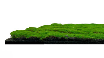 pannello acustico planeo - MixWall Moss Mood Forest Green 52 x 52 cm | muschio artificiale (PLMW-30121A)