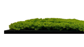 pannello acustico planeo - MixWall Moss Mood Lime Green 52 x 52 cm | muschio artificiale (PLMW-30211C)