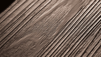 Project Floors Vinile adesivo - floors@work55 PW 1265/55 (PW126555)