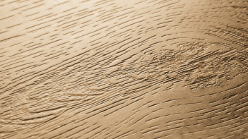 Project Floors Vinile adesivo - floors@work55 PW3913 /55 (PW391355)