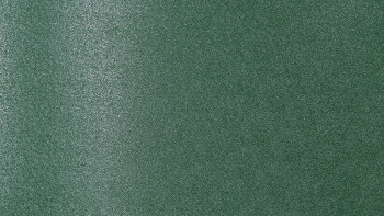 Striscia di protezione visiva PE verde 50 m rotolo