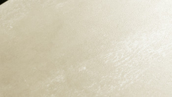 Project Floors Vinile adesivo - floors@work55 TR715/55 (TR71555)