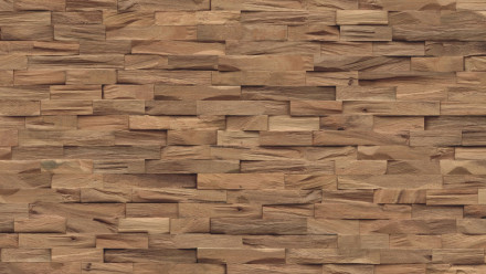 planeo WoodWall - Legno costiero Noce della Tasmania Naturale