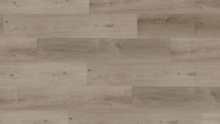 Wineo Vinile adesivo - 400 wood Grace Oak Smooth (DB00106)