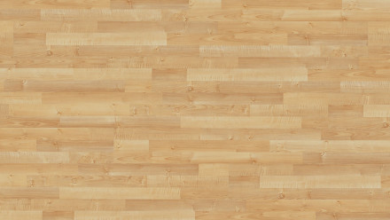 Pavimentazione in laminato Parador - Basic 200 - Acero naturale - Struttura in legno - Blocco a 3 listelli