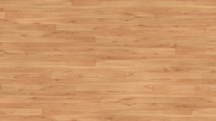 Pavimentazione in laminato Parador - Basic 200 - Faggio - Struttura in legno - Blocco a 2 piani