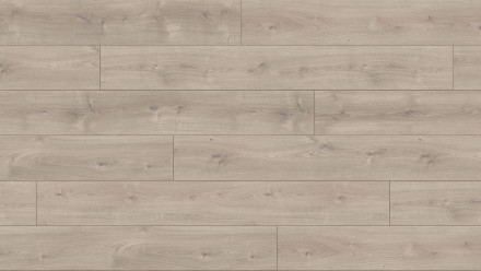 Laminato Parador Trendtime 6 Rovere Grigio maestrale di quercia a struttura naturale 4V giunzione 4V