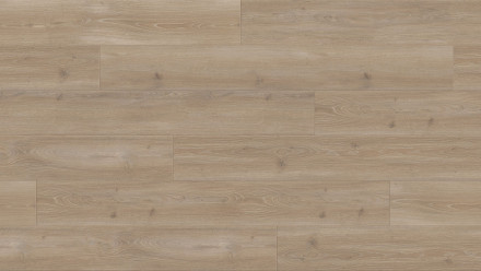 Parador Laminato - Trendtime 6 4V Rovere Skyline 4V grigio perla smussato grigio perlato