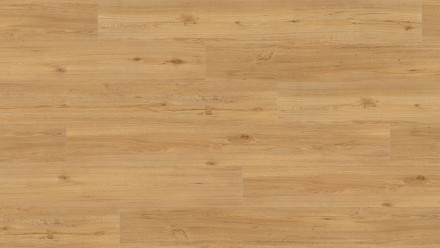 Parador Vinile multistrato - Basic 30 Quercia natura (1649299)