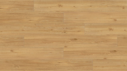 Parador Vinile adesivo - Basic 2.0 Quercia natura (1730779)
