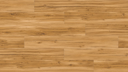 Parador Vinile adesivo - Basic 2.0 Memory Oak nature (1730796)
