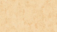 carta da parati in vinile arancione moderno uni used look 071