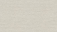 carta da parati in vinile beige pianure moderne in tutto il mondo 886
