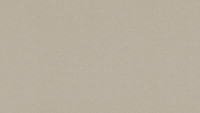 Carta da parati vinilica Castello Architects Carta tinta unita beige metallizzato 402