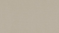Carta da parati vinilica Castello Architects Carta tinta unita beige metallizzato 402