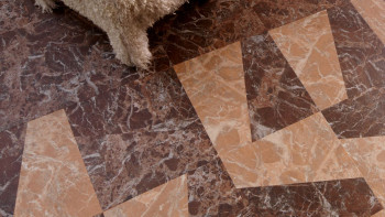 Forbo Allura Materiale 55 Vinile adesivo - Trapezio marmo pesca (63788DR5)