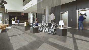 Forbo Allura Wood 70 Vinile adesivo - Legno grigio (63408DR7)