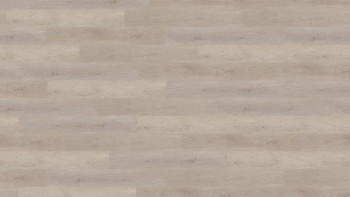 Wineo Vinile multistrato - 400 wood L Balanced Oak Lightgrey | isolamento acustico integrato (MLD286WL)