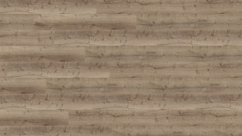 Wineo Vinile Rigido ad incastro - 400 wood XL Comfort Oak Taupe | isolamento acustico integrato (RLC300WXL)
