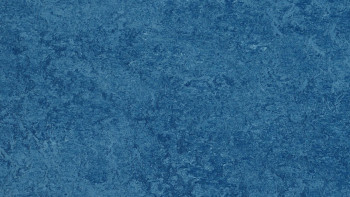 Forbo Linoleum Marmoleum Real - blu 3030 2.0