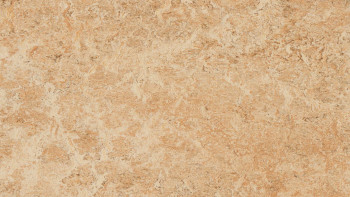 Forbo Linoleum Marmoleum - Real shell 3075 2,5