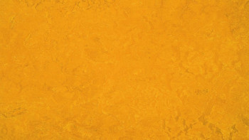 Forbo Linoleum Marmoleum - Fresco golden sunset 3125 2,5