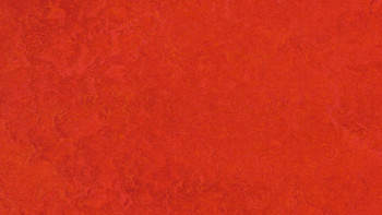 Forbo Linoleum Marmoleum - Fresco scarlatto 3131