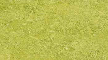 Forbo Linoleum Marmoleum - Vero chartreuse 3224 2.0