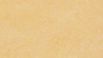 Forbo Linoleum Marmoleum - Fresco mais naturale 3846 2,5