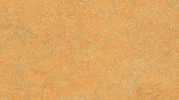 Forbo Linoleum Marmoleum - Zafferano reale dorato 3847 2,5