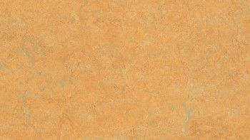 Forbo Linoleum Marmoleum - Zafferano reale dorato 3847 2.0